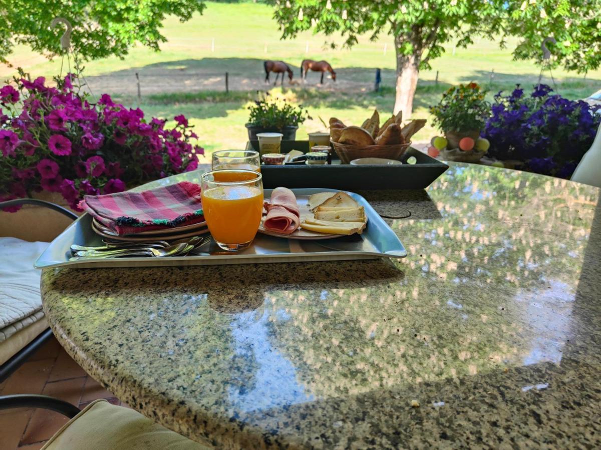 Domaine Bellavigne Gites Et Spa Forcalquier Exteriör bild