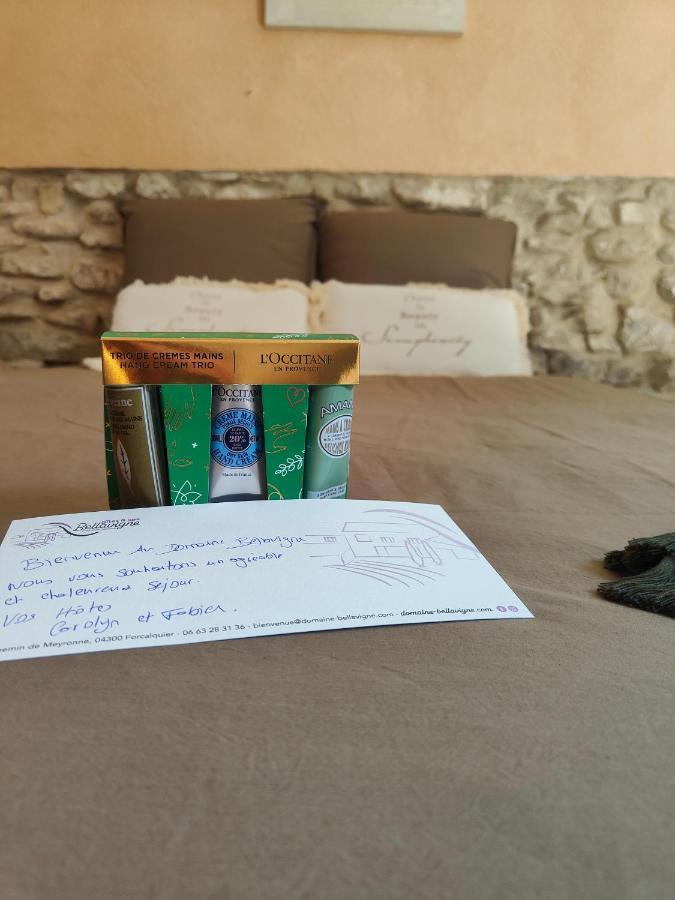 Domaine Bellavigne Gites Et Spa Forcalquier Exteriör bild